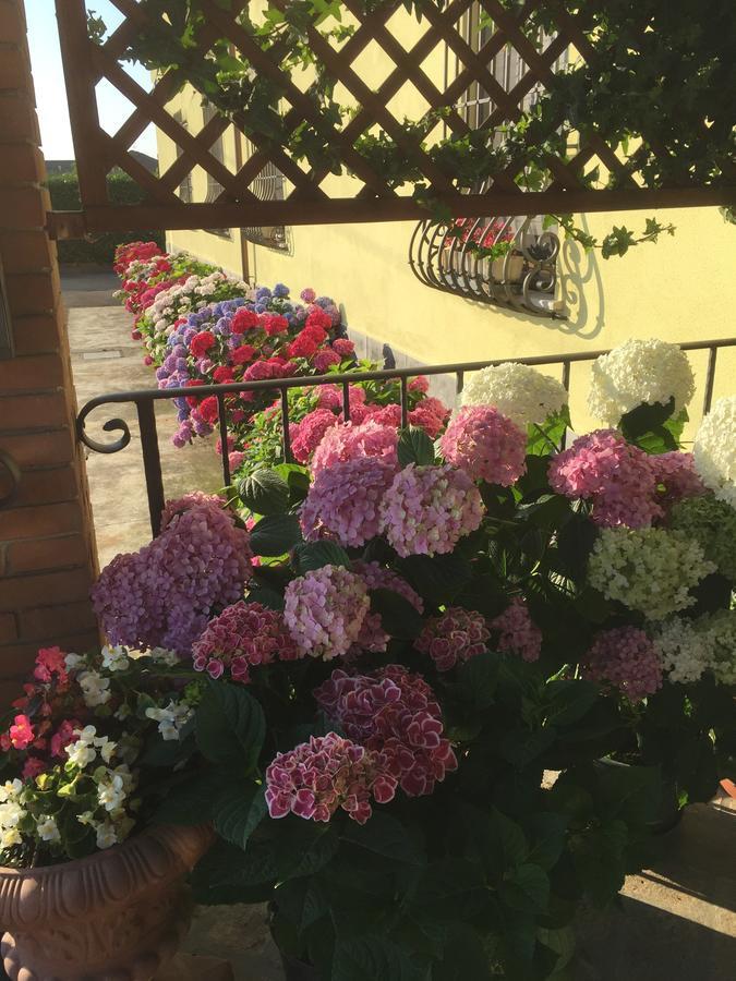 Albergo Il Gufo Парма Екстериор снимка